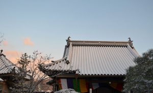 Read more about the article 専教寺寺報「2021年新年号」を発行しました