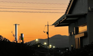 Read more about the article 専教寺寺報「2026年新年号」を発行しました