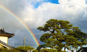 Read more about the article 専教寺寺報「2026年春号」を発行しました